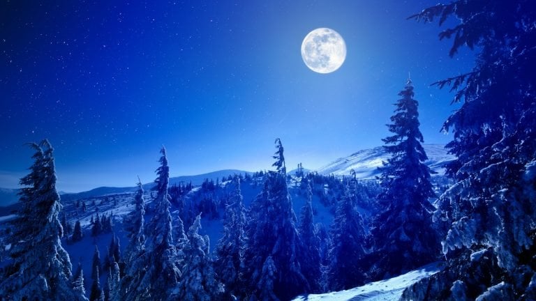 Full moon over winter deep forest covered with snow on winter night