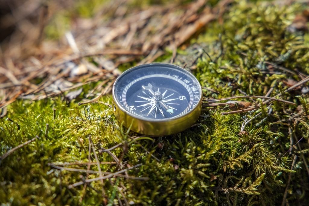 Traveller compass on the grass in the forest
